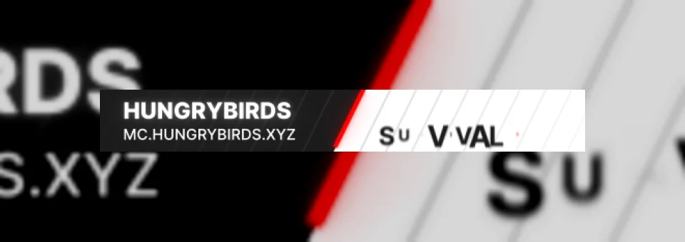 HungryBirds Network